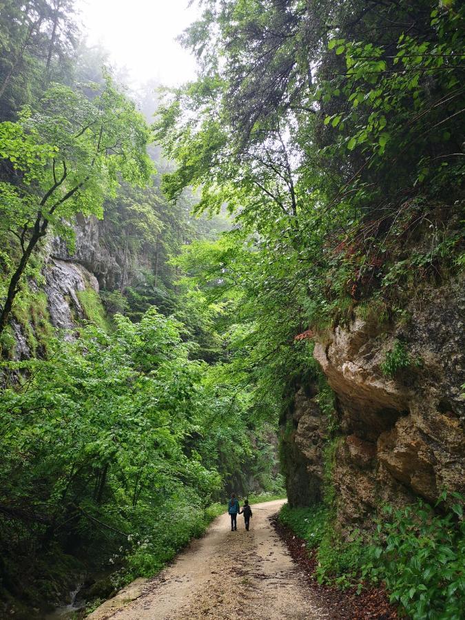 Mountain Lodge Rîşnov المظهر الخارجي الصورة