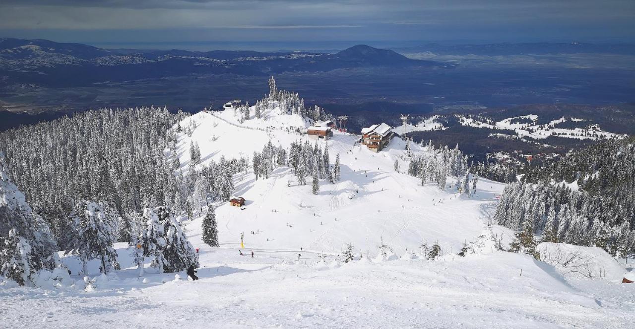 Mountain Lodge Rîşnov المظهر الخارجي الصورة