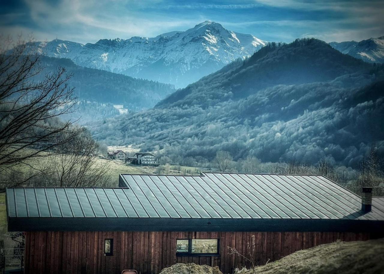 Mountain Lodge Rîşnov المظهر الخارجي الصورة
